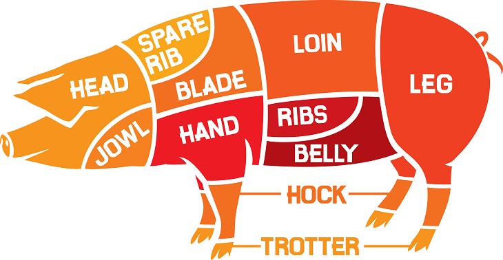 Cuts of Meat