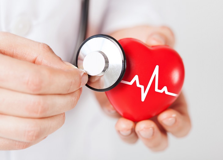 What Really Causes an Enlarged Heart? Find Out Here!