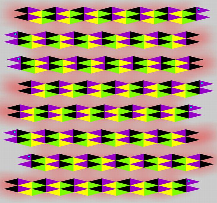optical-illusions