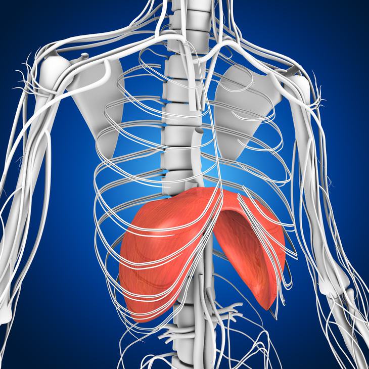 how coughing harms body