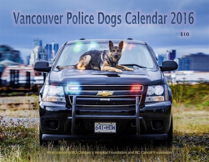 canine-calendar