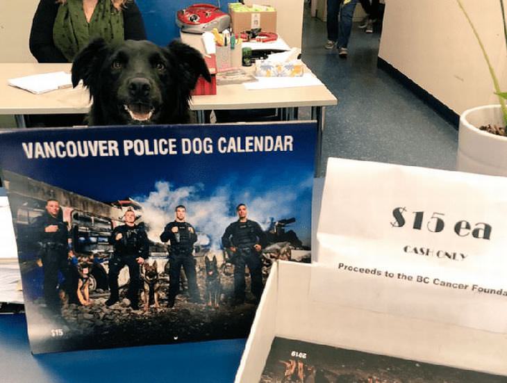 canine-calendar