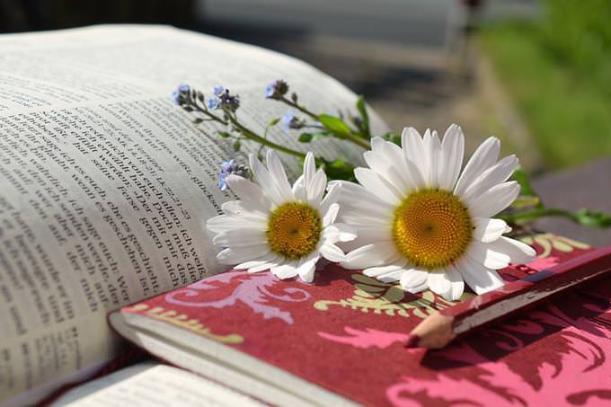 An open book with a flower on it