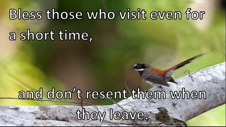 Bless those who visit even for a short time, and don’t resent them when they leave. 