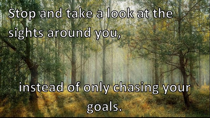 Stop and take a look at the sights around you, instead of only chasing your goals. 