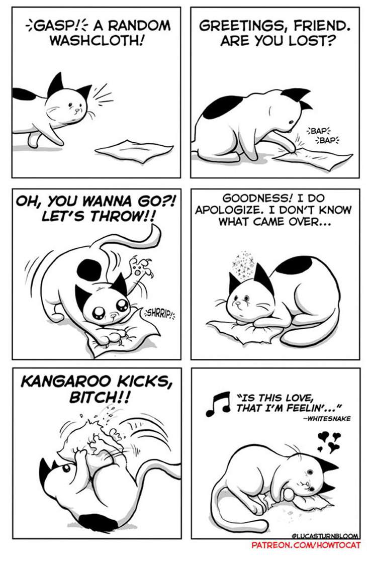 cat-comic