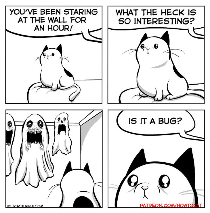 cat-comic