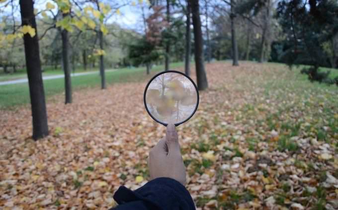 A hand holding a magnifying glass