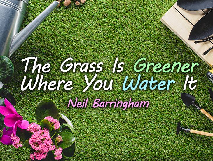 The Grass Is Greener Where You Water It.