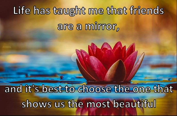 Life has taught me that friends are a mirror, and it's best to choose the one that shows us the most beautiful reflection.