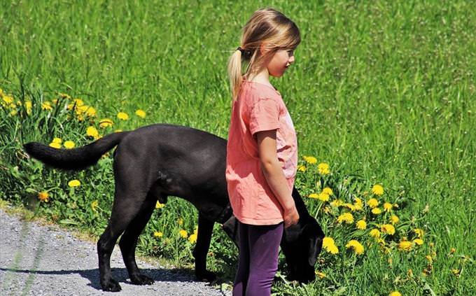 A girl standing next to a black dog