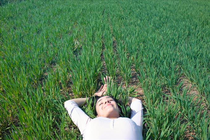 woman lying on grass