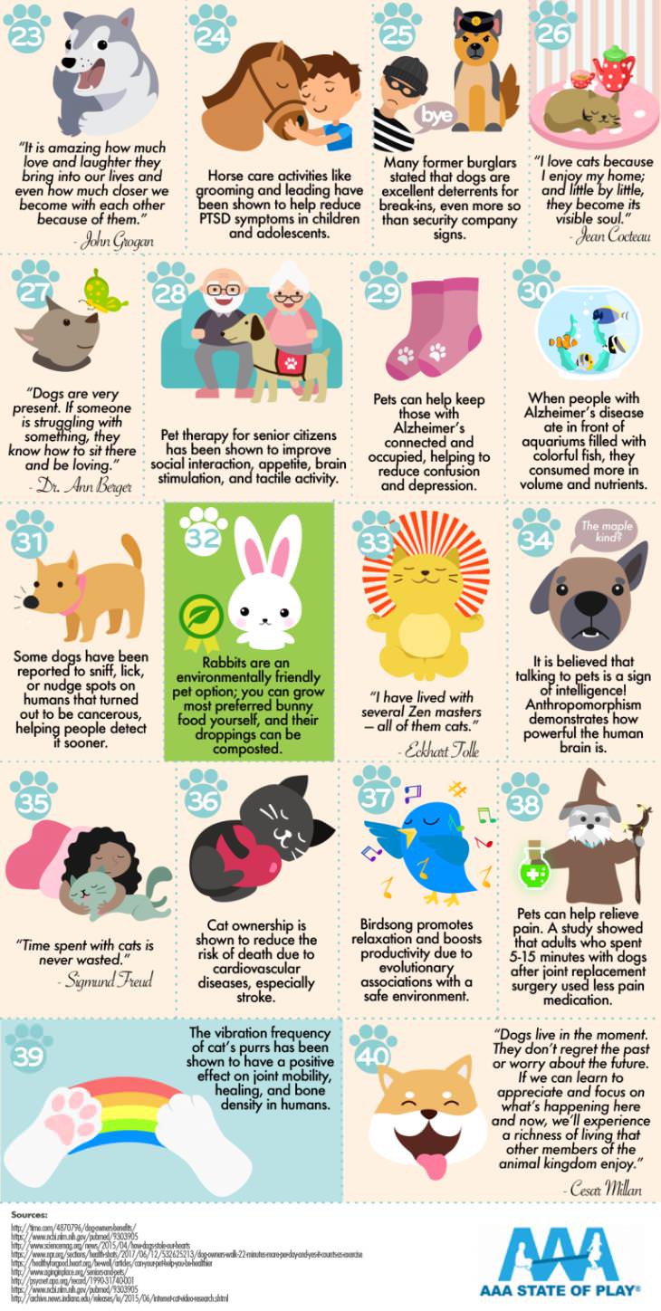 40 reasons to have a pet infographic