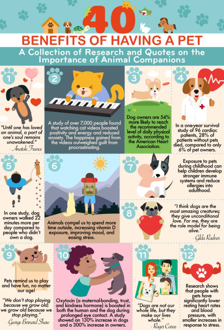 40-benefits-of-having-a-pet