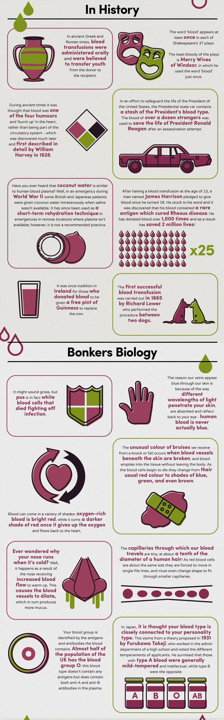 blood-infographic