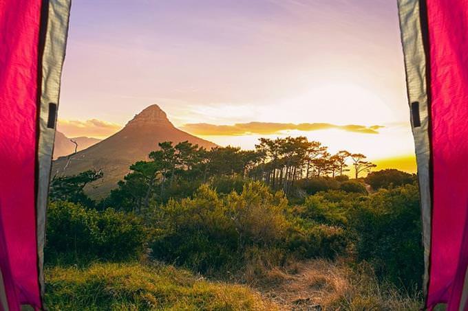 Photo of nature from a tent area