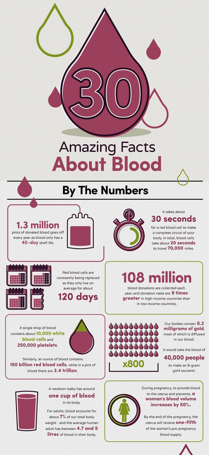 blood-infographic