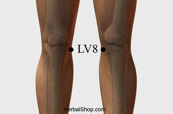 pressure points LV8  vertebrae