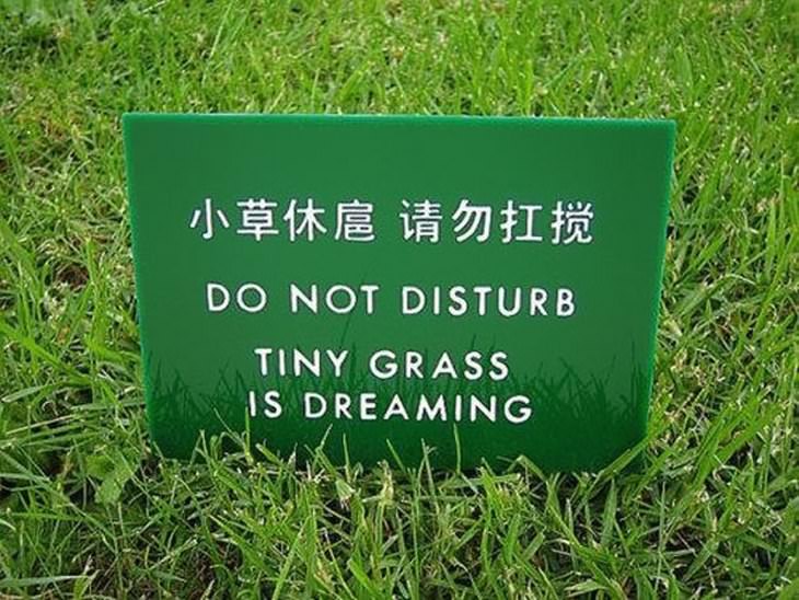 15 Outrageous Translation Fails