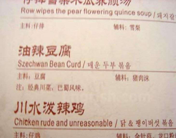 15 Outrageous Translation Fails