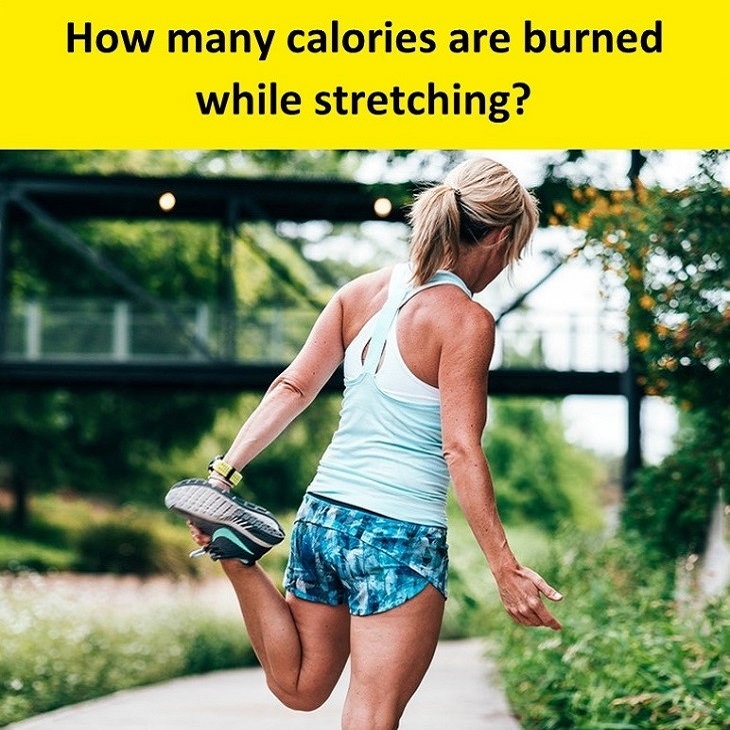 exercise calories