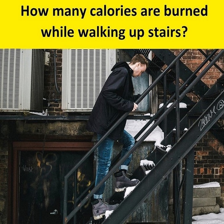 exercise calories