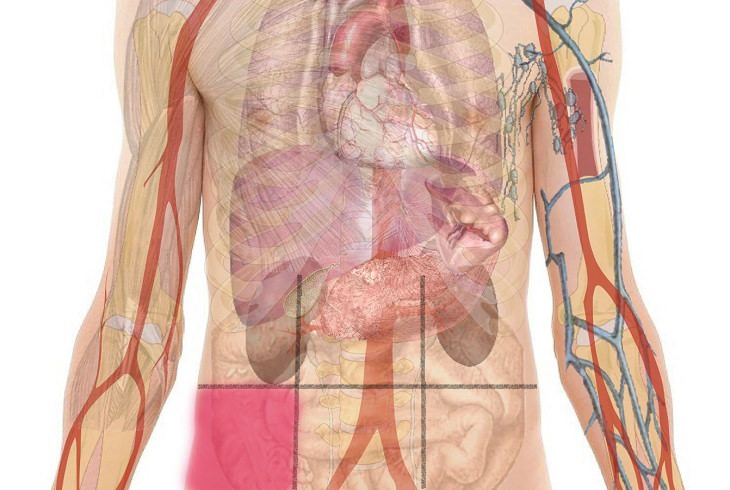 Abdominal Pain Map