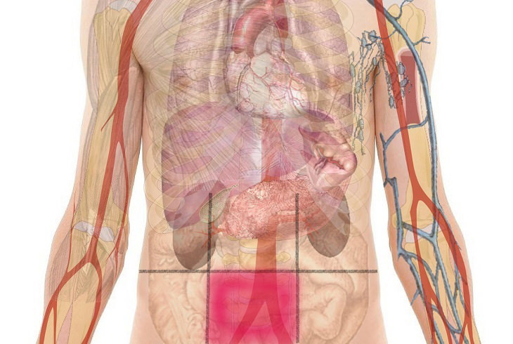 Abdominal Pain Map