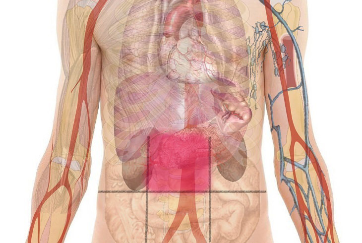 Abdominal Pain Map and Guide