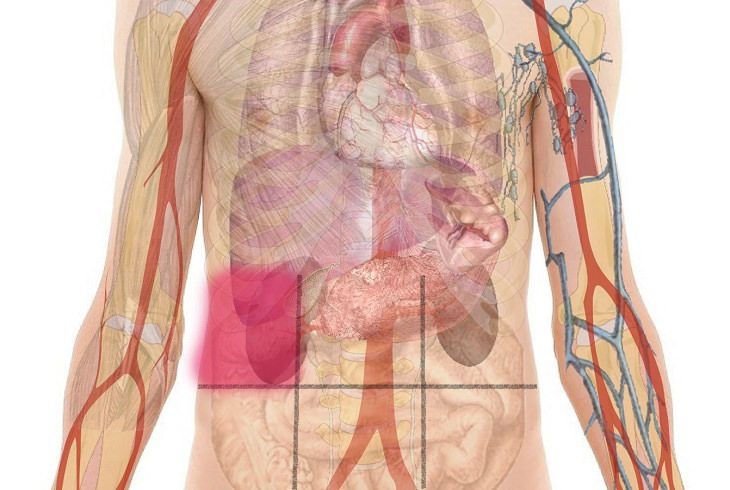 Abdominal Pain Map