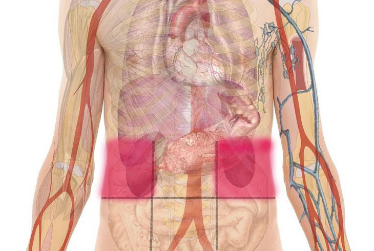 Abdominal Pain Map