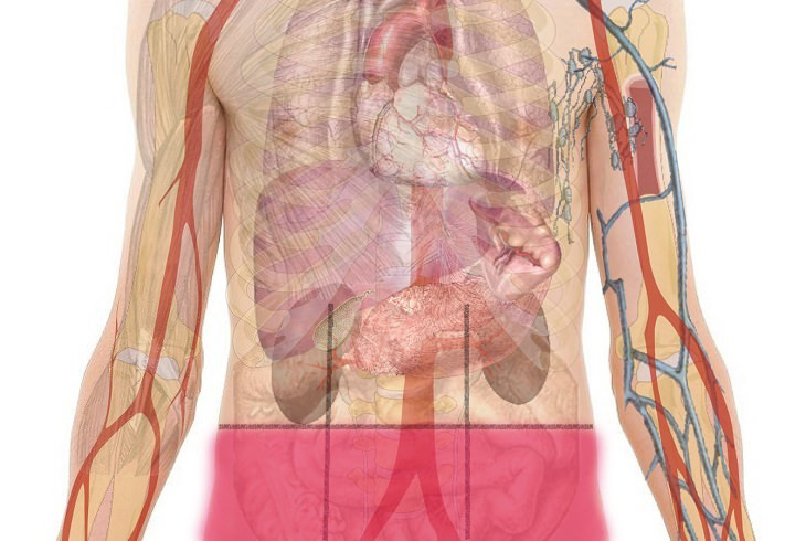 Abdominal Pain Map