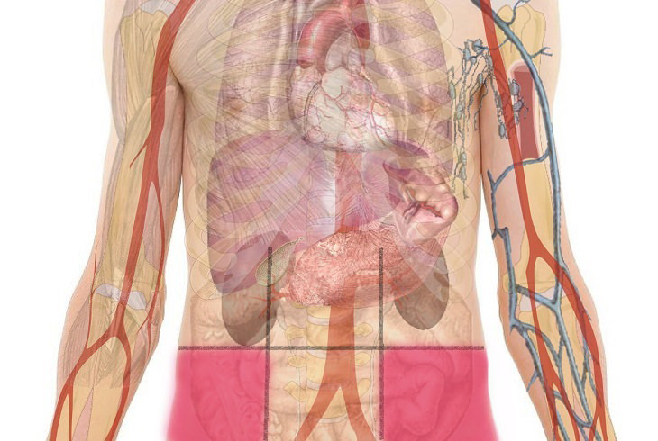 Abdominal Pain Map