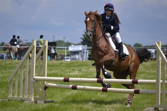 A horse jumping over an obstacle