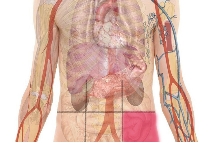 Abdominal Pain Map