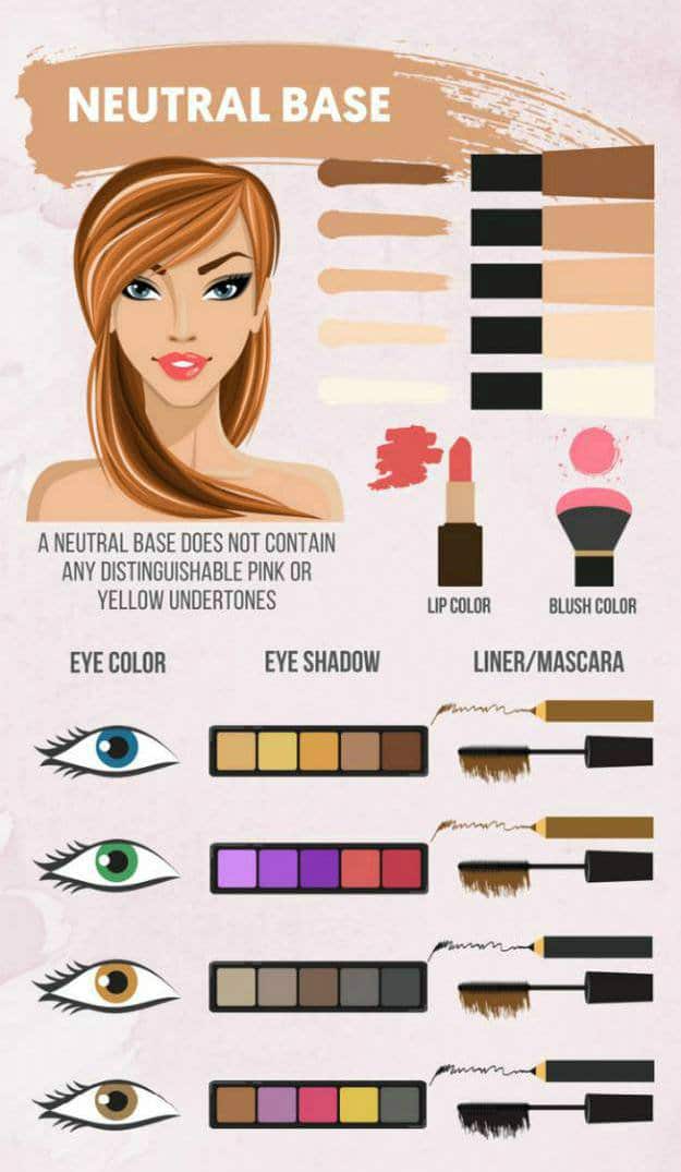 makeup infographic