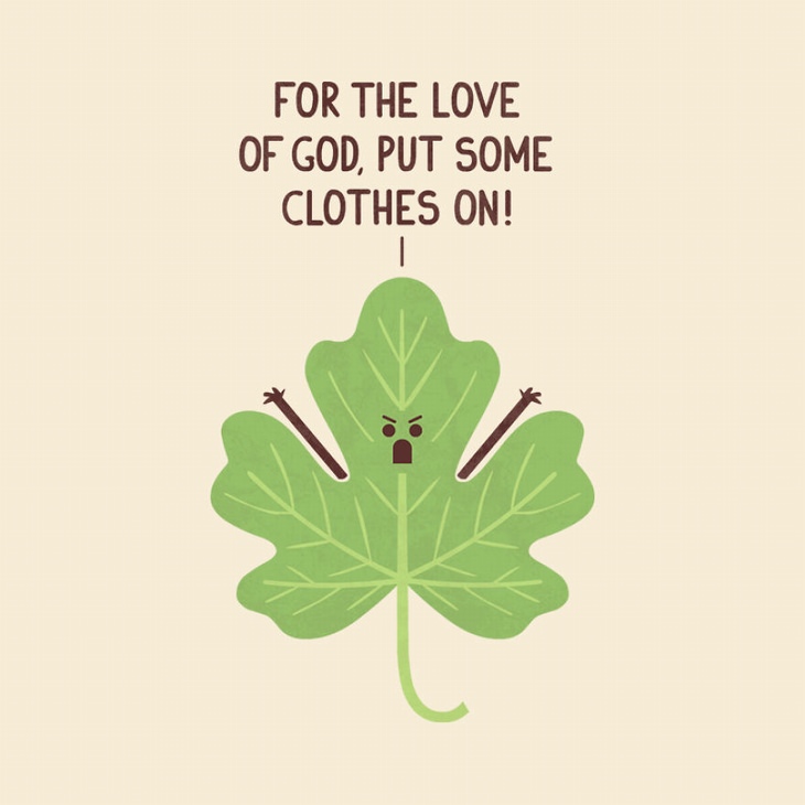 fig leaf telling you to put some clothes on