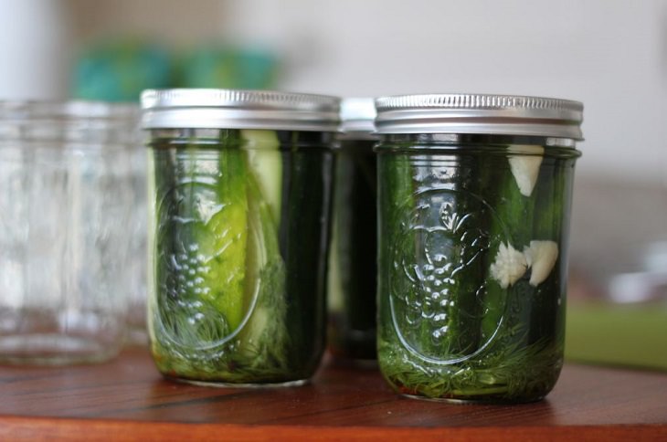 fermented foods benefits