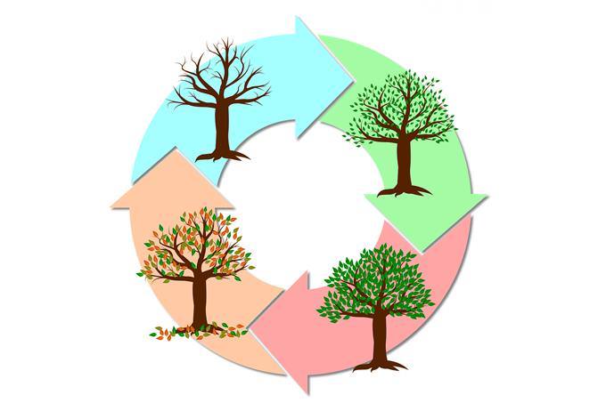 How your life flows: an illustration of the seasons