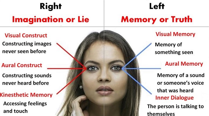 How the Eyes Reflect Falsehood and Truth