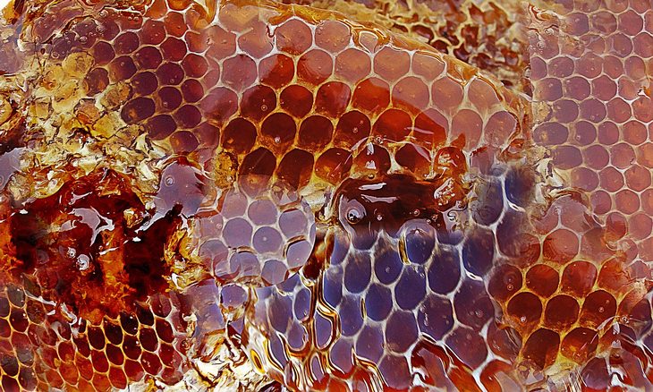 differences-between-raw-and-regular-honey