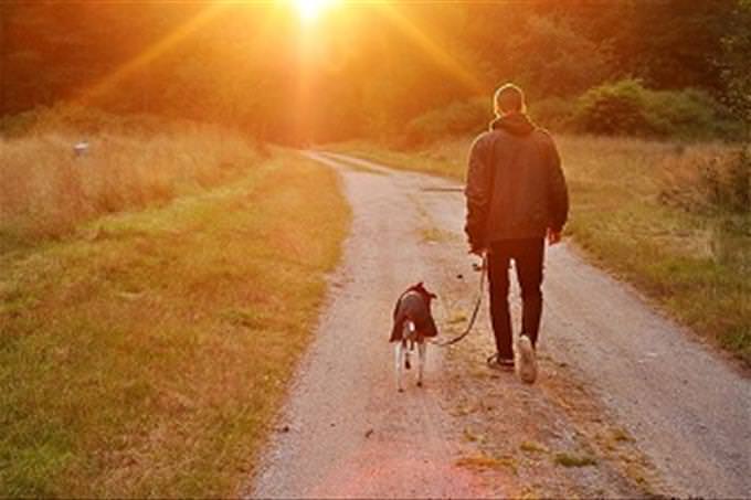 Father and child walking