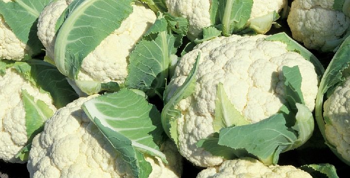 cauliflower