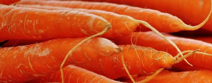 carrots