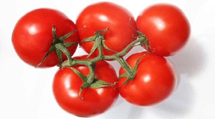 tomatoes