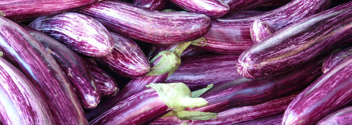 Eggplant