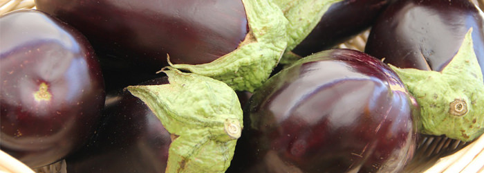 Eggplant