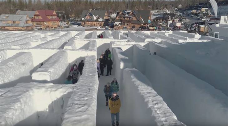 Snow Maze