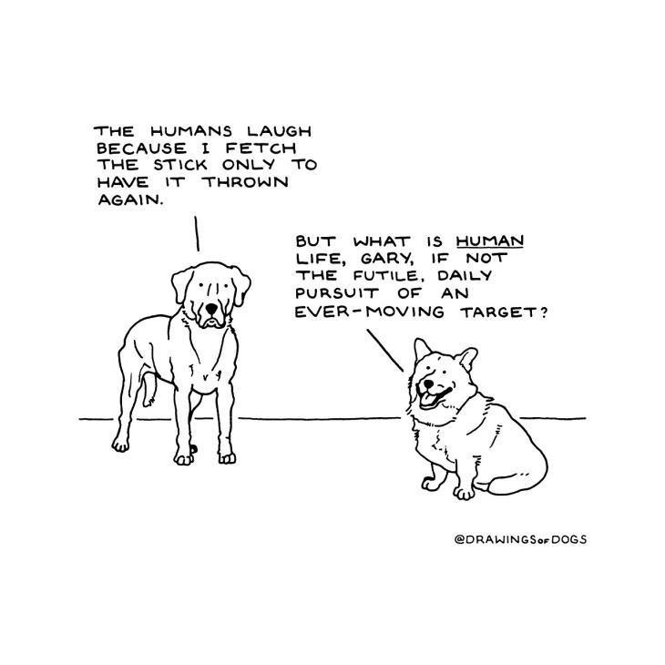 Drawings of Dogs