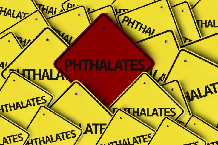 Eating Out and Phthalates